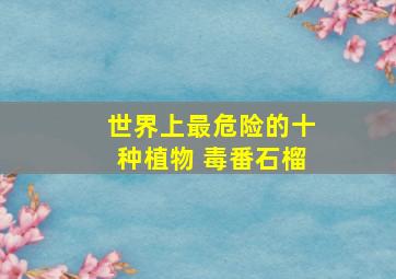 世界上最危险的十种植物 毒番石榴